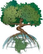 Акция «Сохраним леса Прикамья»